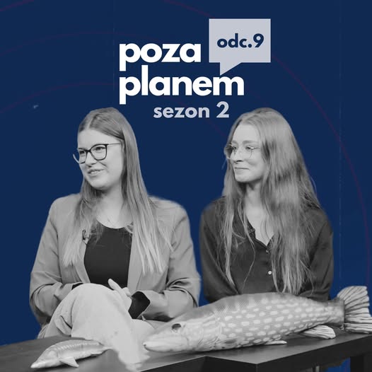 HALO, TU RYBA czyli KNH w UNIWIZJI